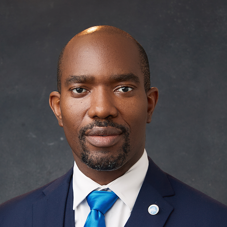 WealthBridge Group Members - Babatope Davies, CFA, FCCA